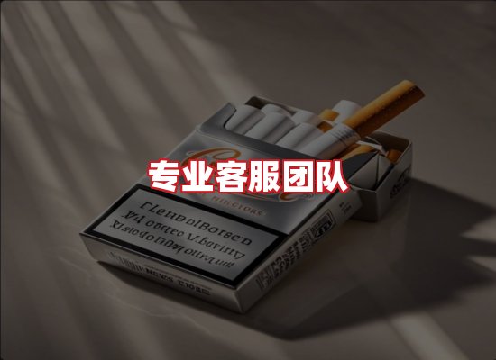 专业团队